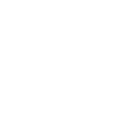 DECOY weapon icon