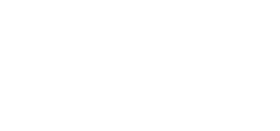 ELITE weapon icon