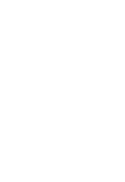 MOLOTOV weapon icon